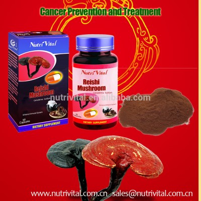 Reishi mushroom capsule Immunity Enhancer Food supplement