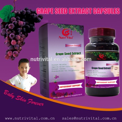 Grape seed extract capsule Antioxidant Dietary Supplement