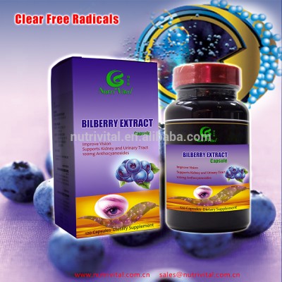 Bilberry extract capsule