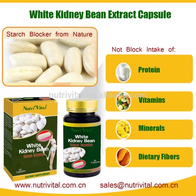 White kidney Bean Extract Capsule