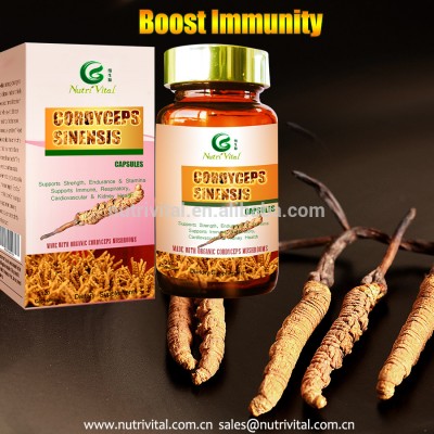 Cordyceps Extract capsule