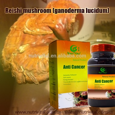 Anti cancer nutraceauticals