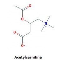 Weight loss ingredients Acetyl L-Carnitine HCl