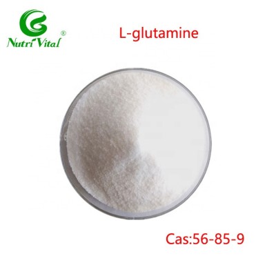 Low price Raw material Bulk L Glutamine Powder cas:56-85-9