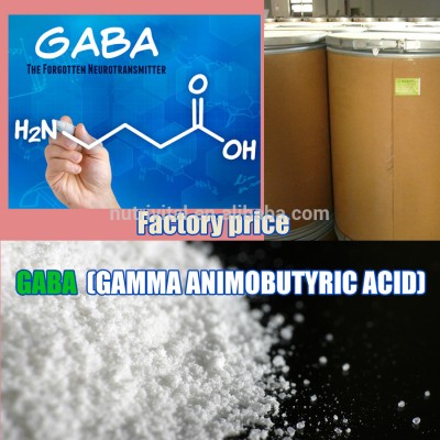 High Quality GABA (Y Amino Butyric Acid)