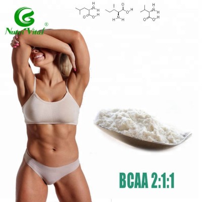 best price fermented BCAA 2:1:1 for Muscle Building