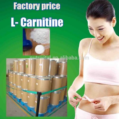 factory price Acetyl l carnitine,Slim raw material bulk powder L-carnitine, Fomarate/HCL,KOSHER